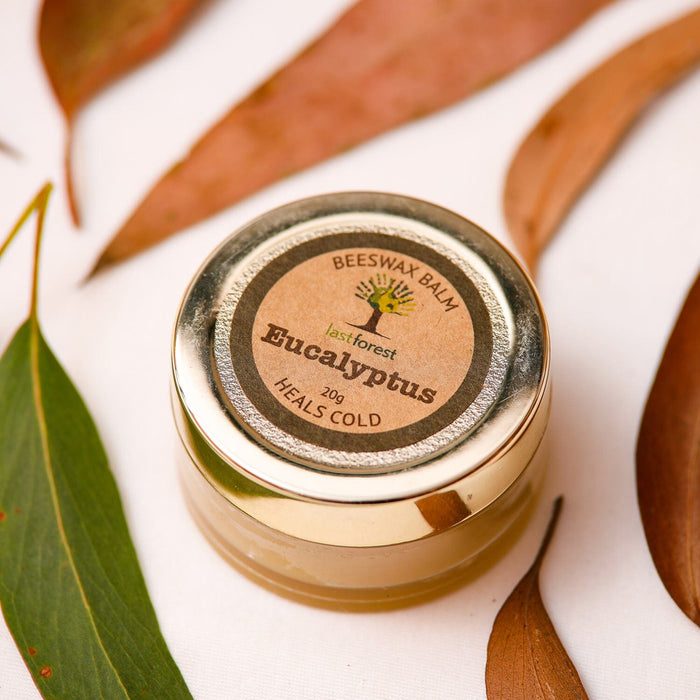 Last Forest Eucalyptus Balm for Cold and Clogged Nose 20g balms Ecosattvastore 