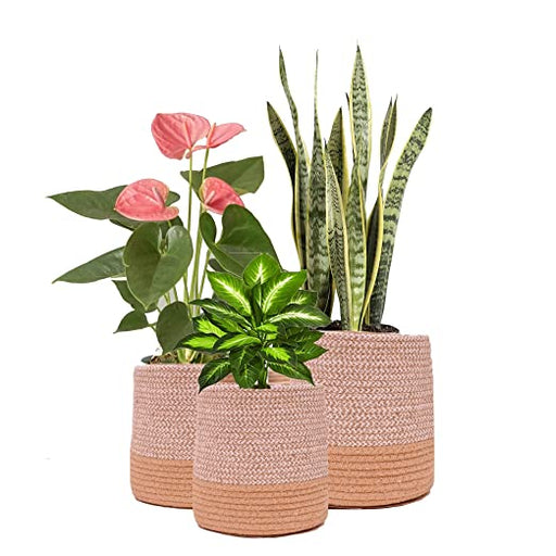 ONEarth Dual Tone Jute Baskets - Large (One Piece) Home Decor ONEARTH 