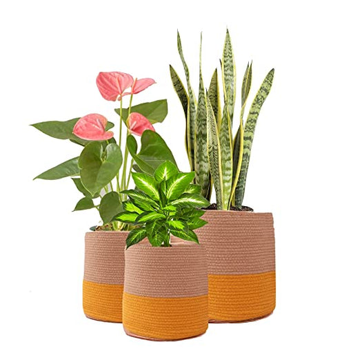 ONEarth Dual Tone Jute Baskets ( Yellow) Set of 3 home essentials ONEARTH 