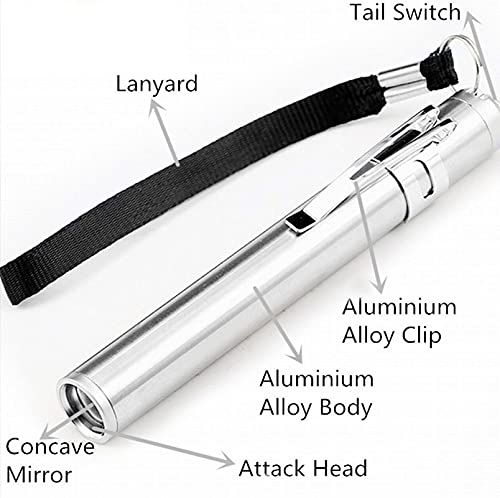 Stainless Stee Mini Flash Light Torches LED Flashlight Round Moon Shape with Keychain Pen for Camping,Doctors,Dentist, Moon Light Metroz Enterprises 