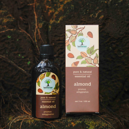 Last Forest Almond Oil, 100ml Essential Oils Ecosattvastore 