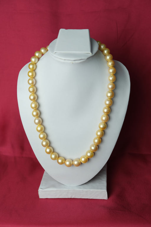 South Sea Round Cream Colour Fresh Water Cultured Pearls Necklace For Women Pearls Chain LivySeller 