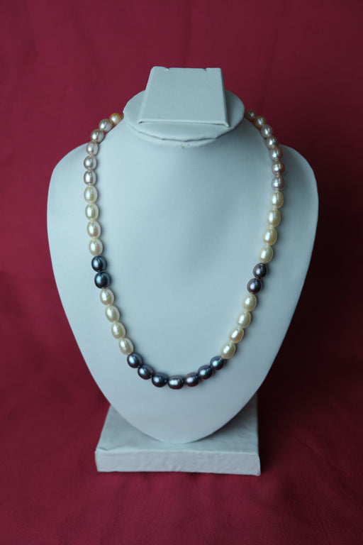Multicolor oval shape single line big size Fresh Water Cultured Pearl Necklace. LivySeller 