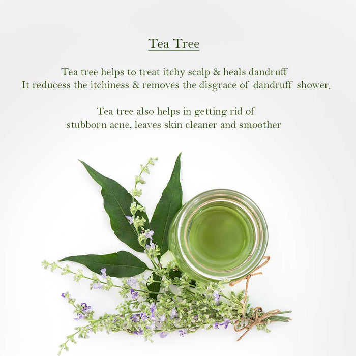Tea Tree Travel Kit - Combo Personal Care FRESCIA 