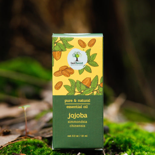 Last Forest Jojoba Oil, 10ml Essential Oils Ecosattvastore 