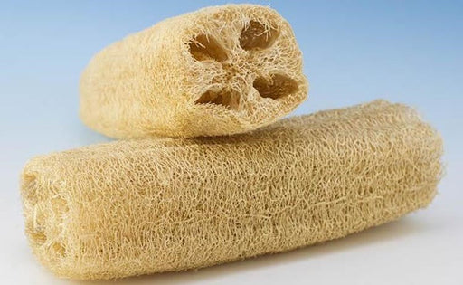 The Earth Trading Natural Loofah body scrubbers The Earth Trading 