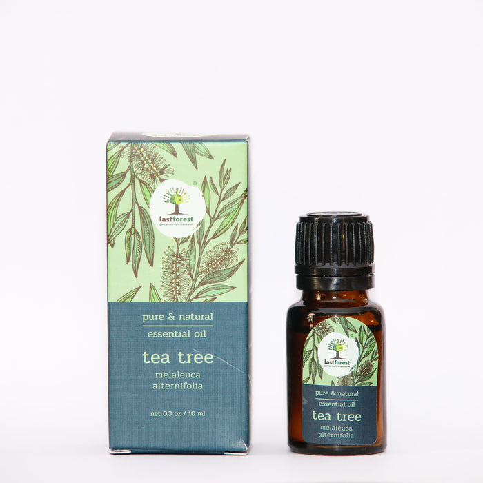 Last Forest Tea Tree Oil, 10ml Essential Oils Ecosattvastore 