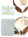 Pratha Junior Soap | Coconut Milk & Butter | Cold Process Handmade Soap Handmade Soap Pratha Naturals 