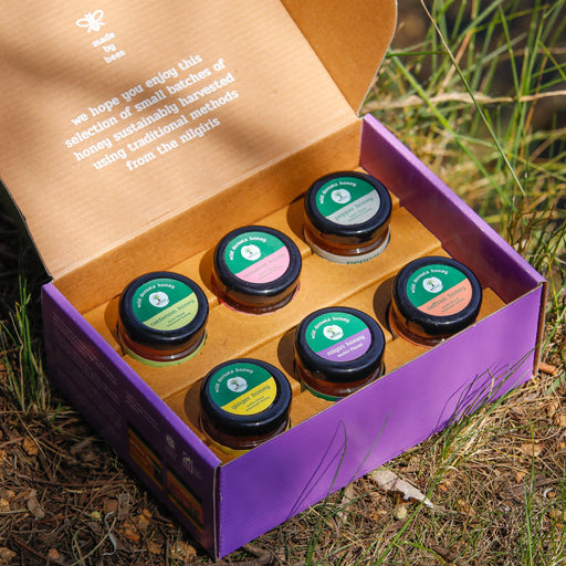 Assorted Honey Gift Box (Set of 6 x25g bottles) Honey Ecosattvastore 