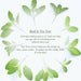 Basil and Tea Tree Shower Gel - 30ml Body care Frescia 