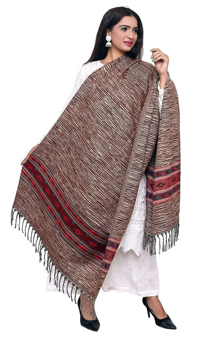 winter brown shawl Clothing New India Trends 